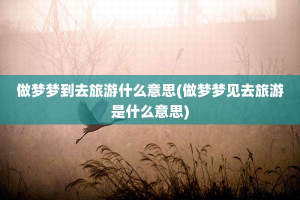 做梦梦到去旅游什么意思(做梦梦见去旅游是什么意思)
