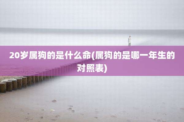 20岁属狗的是什么命(属狗的是哪一年生的对照表)