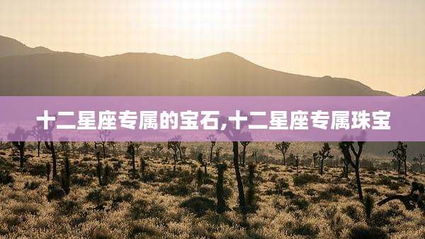 十二星座专属的宝石,十二星座专属珠宝