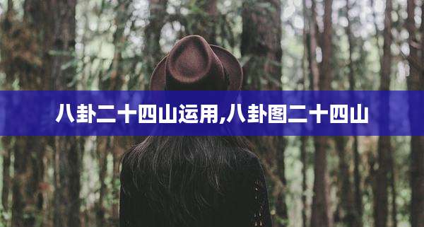 八卦二十四山运用,八卦图二十四山