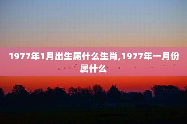 1977年1月出生属什么生肖,1977年一月份属什么