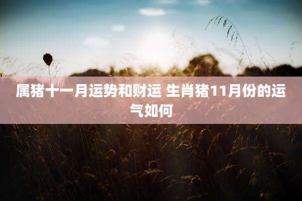 属猪十一月运势和财运 生肖猪11月份的运气如何