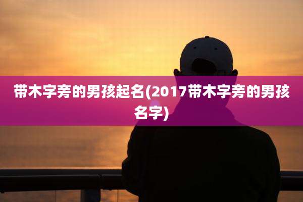 带木字旁的男孩起名(2017带木字旁的男孩名字)