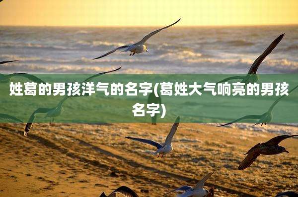 姓葛的男孩洋气的名字(葛姓大气响亮的男孩名字)