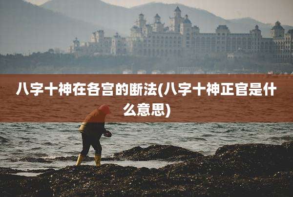 八字十神在各宫的断法(八字十神正官是什么意思)