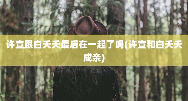 许宣跟白夭夭最后在一起了吗(许宣和白夭夭成亲)