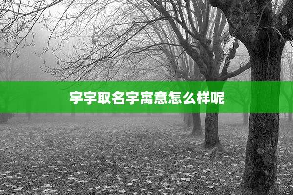宇字取名字寓意怎么样呢
