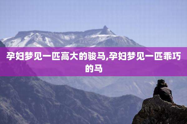 孕妇梦见一匹高大的骏马,孕妇梦见一匹乖巧的马