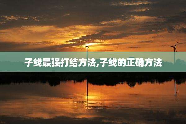 子线最强打结方法,子线的正确方法
