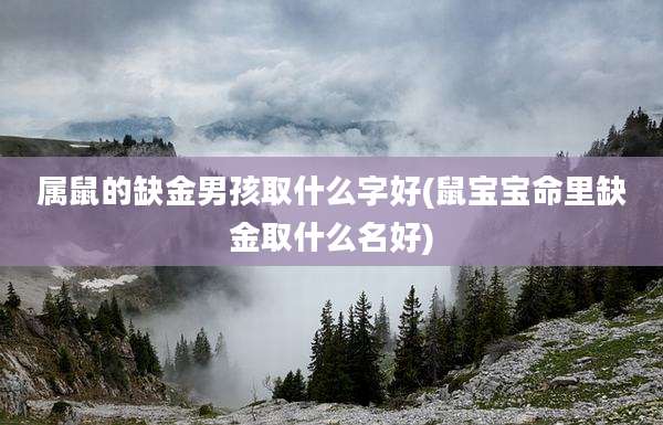 属鼠的缺金男孩取什么字好(鼠宝宝命里缺金取什么名好)
