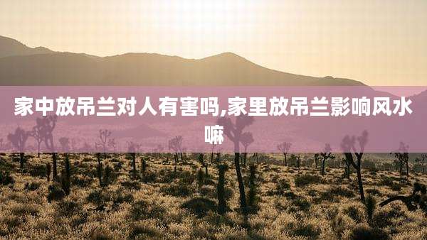 家中放吊兰对人有害吗,家里放吊兰影响风水嘛
