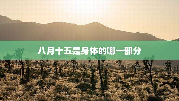 八月十五是身体的哪一部分