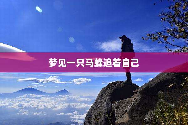 梦见一只马蜂追着自己