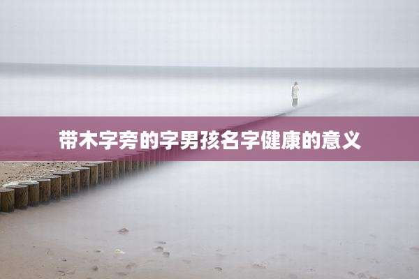 带木字旁的字男孩名字健康的意义