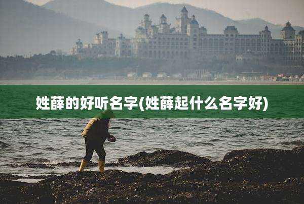 姓薛的好听名字(姓薛起什么名字好)