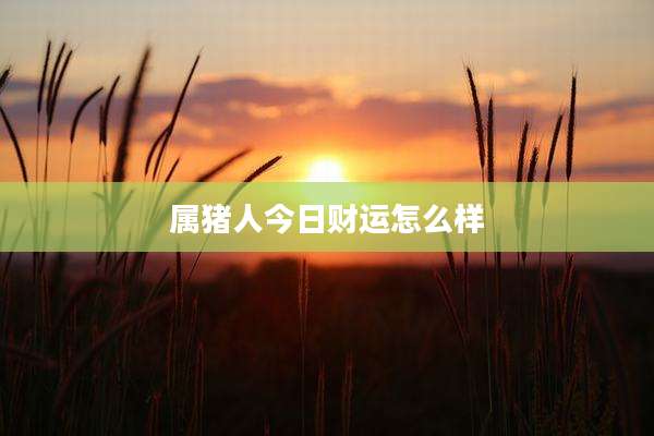 属猪人今日财运怎么样