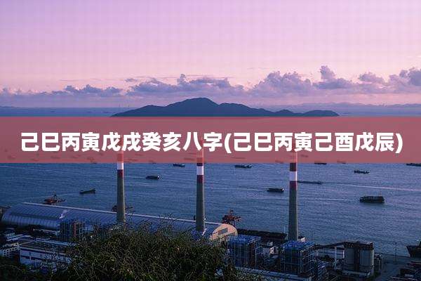 己巳丙寅戊戌癸亥八字(己巳丙寅己酉戊辰)