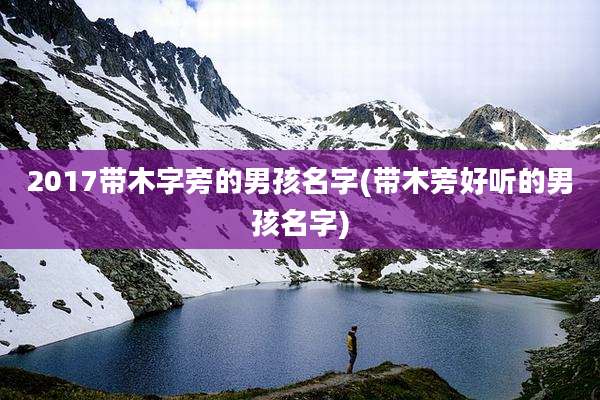 2017带木字旁的男孩名字(带木旁好听的男孩名字)