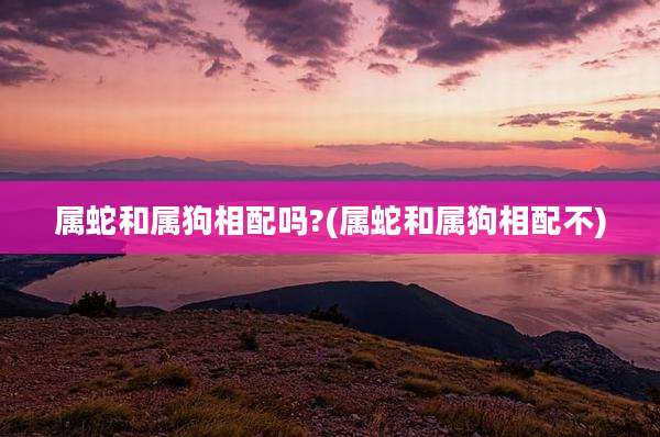 属蛇和属狗相配吗?(属蛇和属狗相配不)