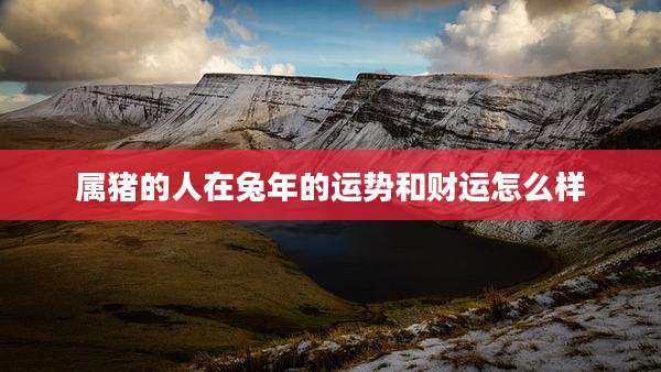 属猪的人在兔年的运势和财运怎么样