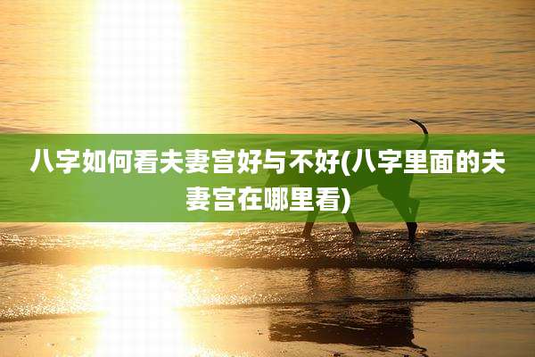 八字如何看夫妻宫好与不好(八字里面的夫妻宫在哪里看)