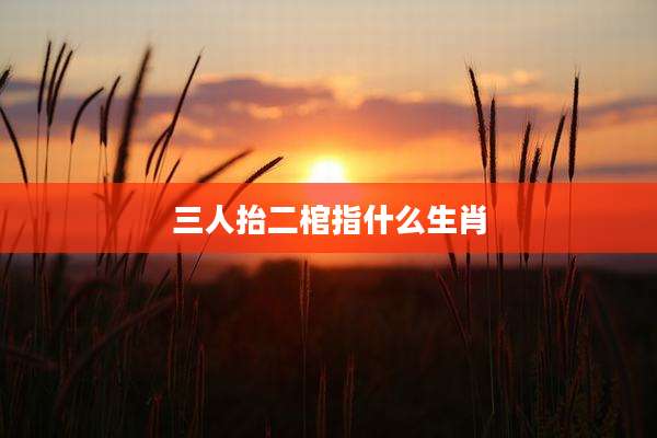 三人抬二棺指什么生肖