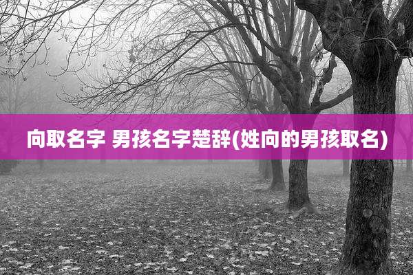 向取名字 男孩名字楚辞(姓向的男孩取名)