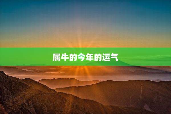 属牛的今年的运气