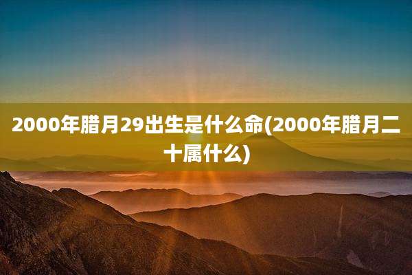 2000年腊月29出生是什么命(2000年腊月二十属什么)