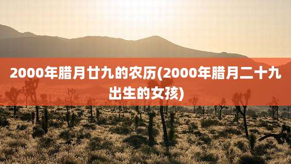2000年腊月廿九的农历(2000年腊月二十九出生的女孩)