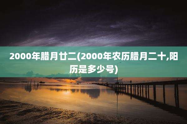 2000年腊月廿二(2000年农历腊月二十,阳历是多少号)