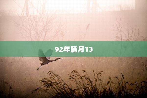 92年腊月13