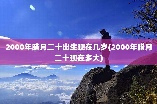 2000年腊月二十出生现在几岁(2000年腊月二十现在多大)