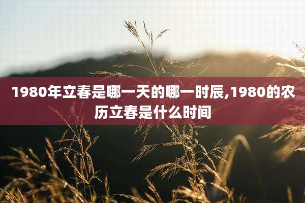 1980年立春是哪一天的哪一时辰,1980的农历立春是什么时间