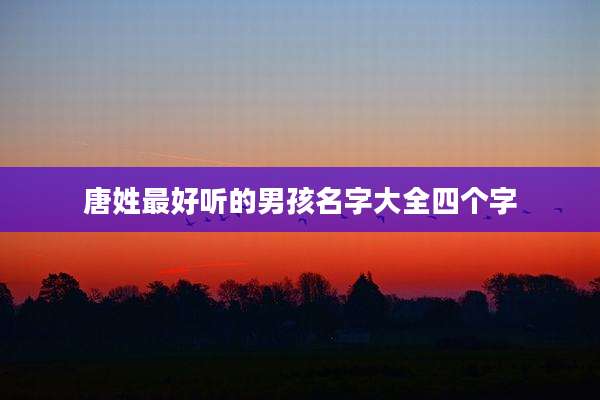 唐姓最好听的男孩名字大全四个字