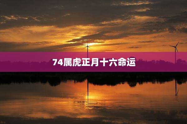 74属虎正月十六命运