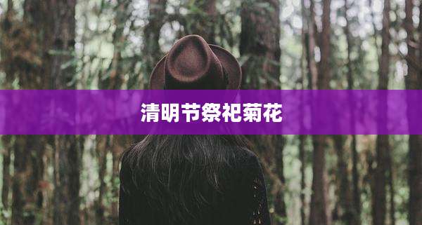 清明节祭祀菊花