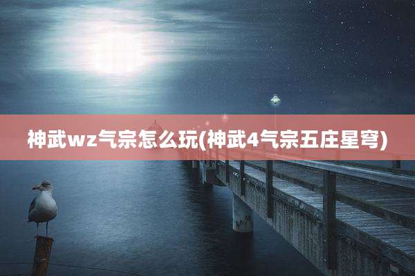 神武wz气宗怎么玩(神武4气宗五庄星穹)
