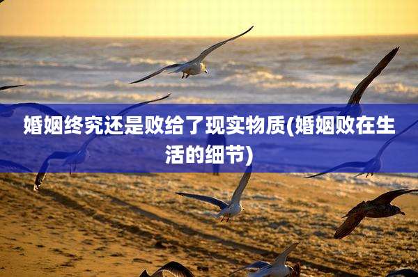 婚姻终究还是败给了现实物质(婚姻败在生活的细节)