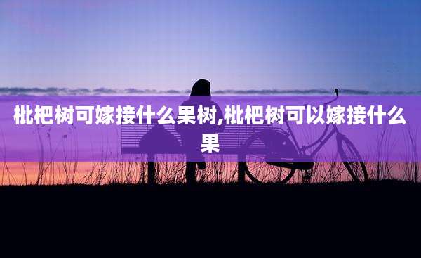 枇杷树可嫁接什么果树,枇杷树可以嫁接什么果