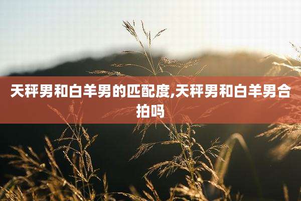 天秤男和白羊男的匹配度,天秤男和白羊男合拍吗