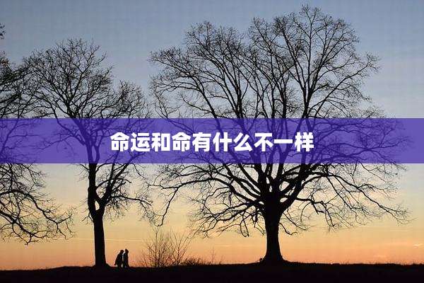 命运和命有什么不一样
