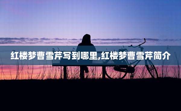 红楼梦曹雪芹写到哪里,红楼梦曹雪芹简介