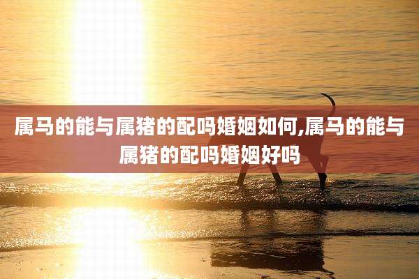 属马的能与属猪的配吗婚姻如何,属马的能与属猪的配吗婚姻好吗
