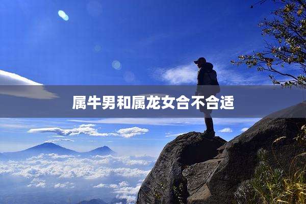 属牛男和属龙女合不合适