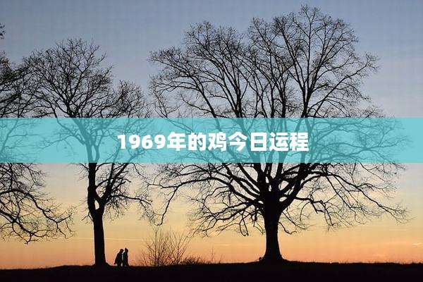 1969年的鸡今日运程