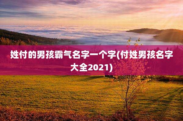 姓付的男孩霸气名字一个字(付姓男孩名字大全2021)