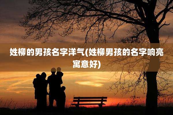 姓柳的男孩名字洋气(姓柳男孩的名字响亮寓意好)
