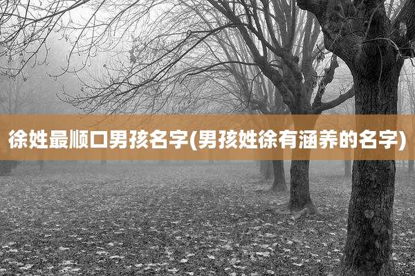 徐姓最顺口男孩名字(男孩姓徐有涵养的名字)