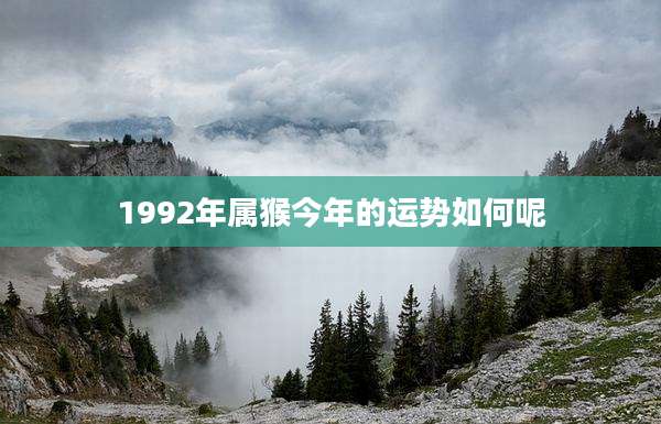 1992年属猴今年的运势如何呢